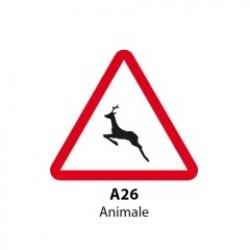 Animale (salbatice), Indicator rutier | Semn de circulatie